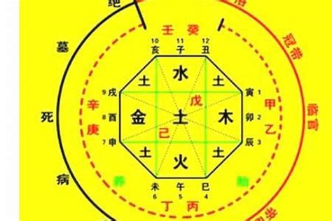 先天八字|生辰八字算命、五行喜用神查詢（免費測算）